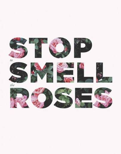 Stop to smell the roses Sarah Sherman, Stop And Smell The Roses, Sarah Sherman Samuel, Smell The Roses, Appreciate Life, Rose Art, Inspirational Quotes Motivation, The Words, Beautiful Words