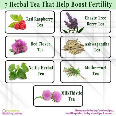 Raspberry Tree, Herbs For Fertility, Fertility Tea, Boost Fertility, Chaste Tree, Fertility Foods, Fertility Doctor, Berry Tea, Fertility Health