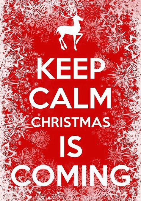 2nd time I pinned this one...different design...but I just need to keep reminding myself!! Calm Christmas, Quotes Christmas, Ultimate Christmas, Christmas Time Is Here, God Jul, Christmas Store, Primitive Christmas, Noel Christmas, Merry Little Christmas