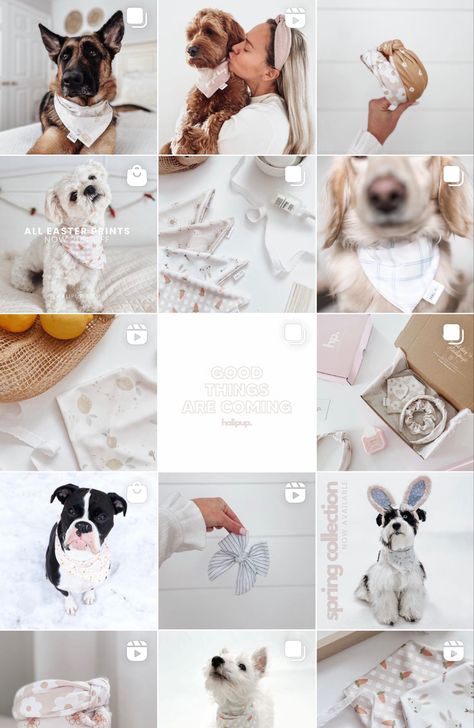 Light pastel aesthetic Instagram feed Dog Instagram Photo Ideas, Dog Business Aesthetic, Dog Instagram Aesthetic, Dog Bandana Photography, Pet Small Business, Dog Content Ideas, Dog Instagram Feed, Dog Grooming Instagram, Dog Owner Aesthetic