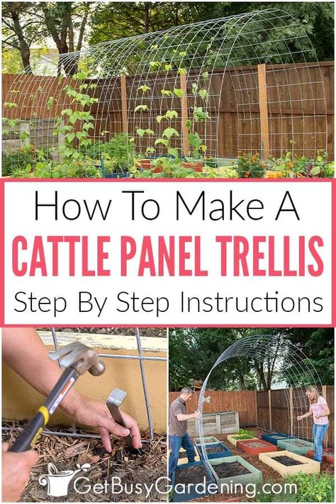 Creating a DIY garden trellis tunnel is a fun and functional project to create more vertical growing space that also becomes a statement piece that adds beauty. In this detailed guide on how to build a cattle panel trellis arch in the garden, I’ve shared everything you’ll need to assemble the supplies and tools for making a DIY tunnel trellis. Then simply follow my easy step by step instructions to construct this surprisingly easy DIY livestock fence trellis and get it installed in your space. Trellis For Garden Bed, How To Build A Vertical Garden, Plants That Need Trellis, How To Build A Fenced In Garden, Diy Arch Garden Trellis, Diy Arches Garden, Climbing Vegetables Trellis, Cattle Panel Fence Garden, Garden With Trellis Arch