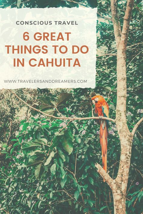 Wondering what activities the Caribbean town of Cahuita offers? Here are 6 things to do in Cahuita to start your travel adventure! Cahuita Costa Rica, Costa Rican Coffee, Costa Rica Travel Guide, Cahuita, Travel America, Caribbean Culture, By Bus, Eco Travel, Central America Travel