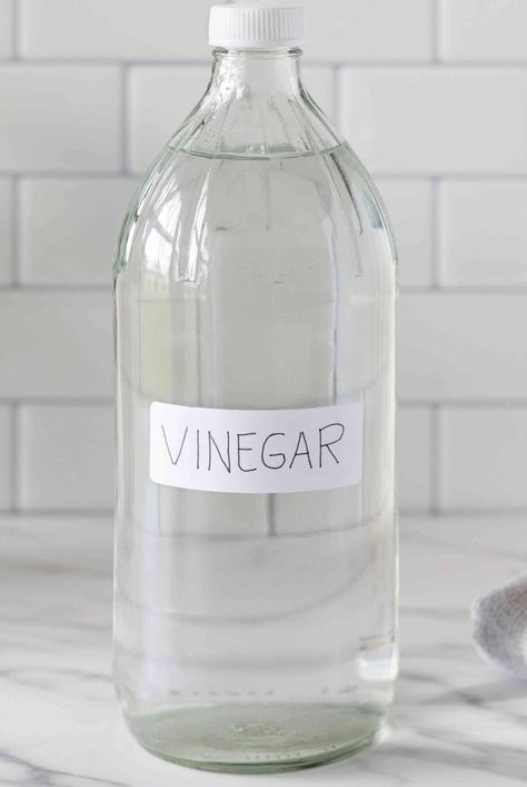 Cleaning Vinegar, Uses For Vinegar, Listerine Mouthwash, Easy Home Organization, Vinegar Cleaner, Cleaning Your House, Infographic Inspiration, Sick Remedies, Vinegar Uses