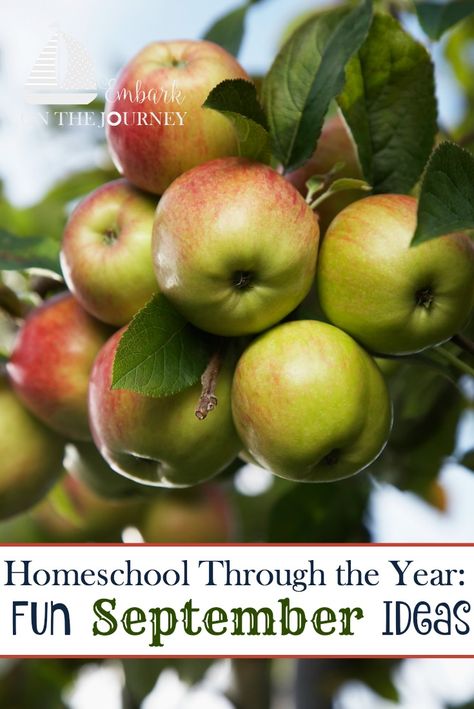 September Elementary Activities, Homeschool Apple Activities, September Homeschool Activities, September Unit Studies, Apple Unit Study 3rd Grade, Fall Homeschool Ideas, September Homeschool Themes, September Homeschool Ideas, Fall Homeschool Activities