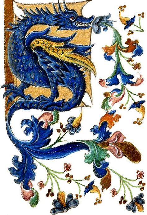 Medieval Pictures Art, Medieval Art Dragon, Dragon Vintage Illustration, Medieval Illustration Art, Medieval Bird Illustration, Medieval Animals Illustrations, Arts And Crafts Painting, Medevil Dragon, Dragon Folk Art