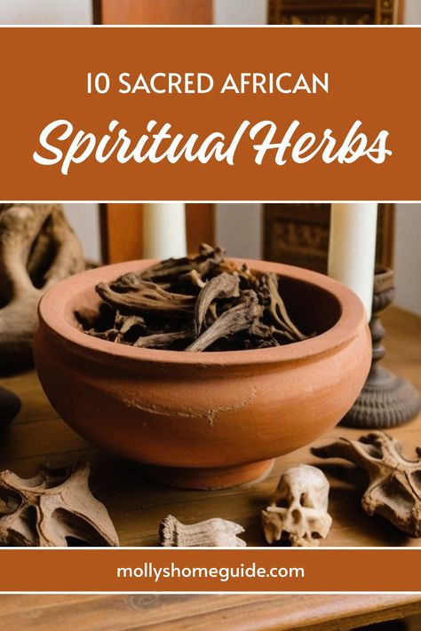 Explore the world of African spiritual herbs with our collection of herbal healing remedies, including basil magick and master root. Discover the power of African holistic health practices like Yorubic medicine and spiritual cleansing baths. Dive into the realm of Black American spirituality with HOODOO: Herbs for magic and magickal oils properties. Enhance your spiritual health and well-being with these potent tools from Afriqrm Health. Hoodoo Herbs, Spiritual Herbs, Spiritual Cleansing Bath, African Herbs, Witchcraft Herbs, Calming Tea, Healing Remedies, African Spirituality, Health Practices