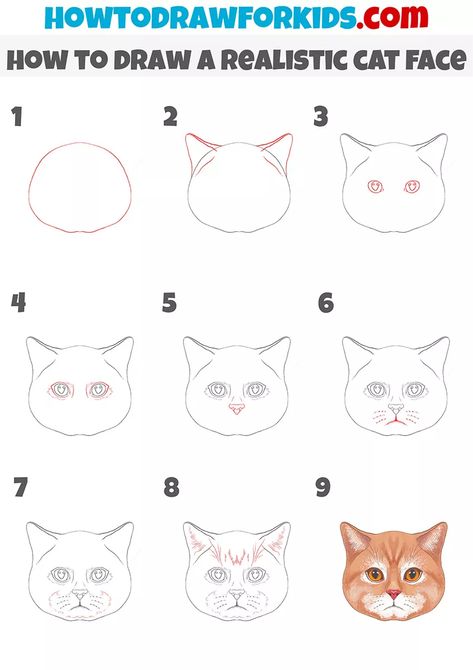 How to Draw a Realistic Cat Face - Easy Drawing Tutorial For Kids Realistic Cat Drawing, Anjing Poodle, Cat Face Drawing, Face Step By Step, Pencil Skills, Draw A Cat, Cat Drawing Tutorial, Drawing Realistic, Sketching Tips