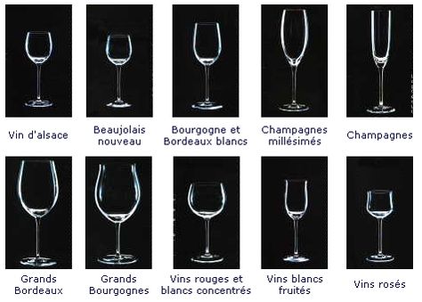 Wine Glasses For Different Wines | YouCellar, wine cup, different shapes and kinds Types Of Wine Glasses, Different Types Of Glasses, Different Types Of Wine, Wine Vineyards, Types Of Glasses, Different Wines, Cafe Shop Design, Types Of Wine, Wine Cup