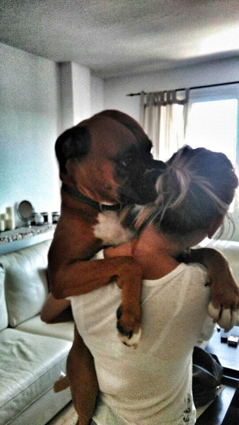 Baby Shadow boxer dog Boxer Dog Breed, Dogs Hugging, Boxer And Baby, Pregnant Dog, Boxer (dog), Dog Best Friend, Boxer Puppy, Boxer Love, Boxer Puppies