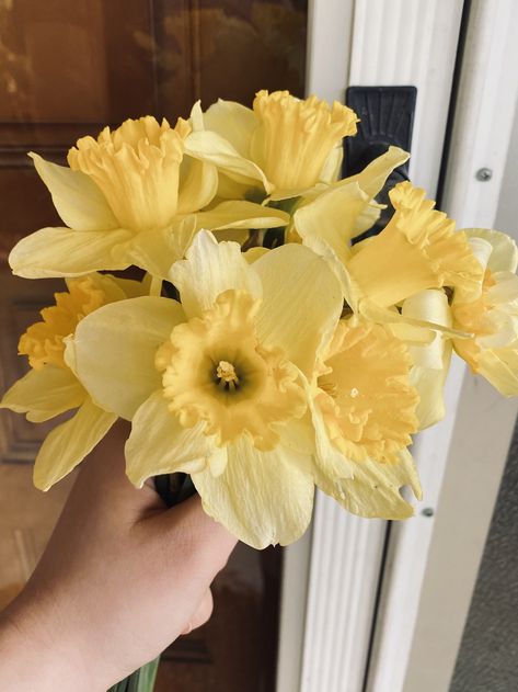 Daffodil Yellow Aesthetic, Daffodils Bouquet Aesthetic, Pretty Yellow Flowers, Yellow Daffodil Bouquet, Yellow Daffodils Aesthetic, Daffodil Flower Bouquet, Yellow Bouquet Aesthetic, Daffodil Bouquet Wedding, Daffodil Aesthetic