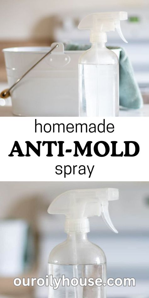 Kill Mold, Mold Spray, Natural Cleaning Products Diy, Diy Household Cleaners, Homemade Cleaning Supplies, Natural Cleaning Recipes, Diy Cleaning Solution, Homemade Cleaning Solutions, Cleaner Recipes