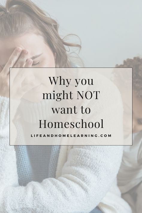 Explore some general reasons why you might not want to or might not be able to homeschool. Homeschooling really isn't for everyone, and that's totally okay! #homeschool #reasonswhy #learning #publicschool #schoolkids Online Homeschool, School Kindergarten, About School, Homeschool Life, Family Dynamics, Unschooling, Charter School, Home Education, Homeschool Mom