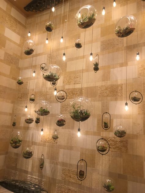 Terrarium wall Terrarium Wall Ideas, Terrarium Interior Design, Wall Terrarium Ideas, Hanging Terrarium Ideas, Hall Decoration Ideas, Terrarium Wall, Spa Wall Decor, Wall Terrarium, Hall Decoration