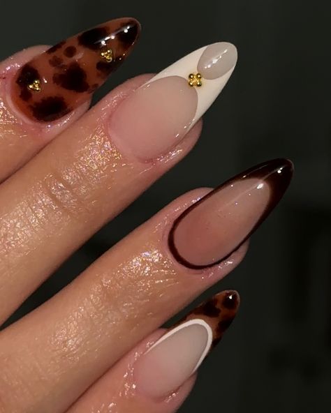 it’s tortoise nail season 🍂 which one is your favorite? .. .. @nailzbymb #nailtech #nail #nails #nailart #nailinspiration #fallnails #brownnails #october #octobernails #trend #trending #trendingreels #explore #explorepage #wylie #wylietx #wylienails Nail Design Tortoise, Tortishell French Nails, Short Tortoise Nails, Turtle Shell French Tip Nails, Turtle Print Nails, Almond Tortoise Shell Nails, Nail Tortoise, Tortishell Nails Design French, Tortoishell Nails Design