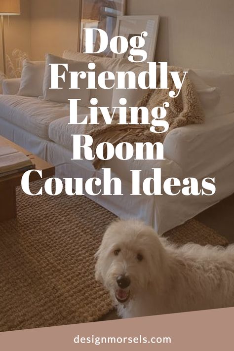 Dog Friendly Living Room Couch Ideas Living Room Ideas With Dogs, Pet Friendly Home Ideas, Dog Friendly Living Room Ideas, Dog Friendly Living Room, Cat Friendly Sofa, Room Couch Ideas, Living Room Couch Ideas, Pet Friendly Living Room, Couch Ideas