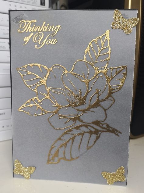 Cards Tutorial, Acetate Cards, Vellum Cards, Heat Embossing, Embossing Techniques, Stamp Tutorial, Magnolia Stamps, Karten Design, Embossing Powder