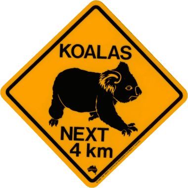 Koala Crossing Australian Road Signs, Kangaroo Island, Cow Bones, Animal Hide, Painted Shells, Road Sign, Australia Day, Wayfinding Signage, Chengdu