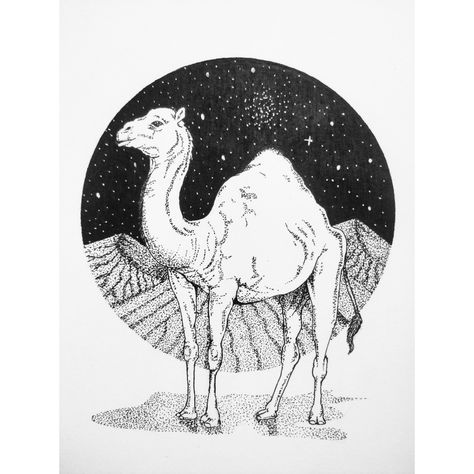 Nomad Drawing, Nomadic Drawing, Desert Sketch, Camel Drawing, King Paimon, Camel Tattoo, Camels Art, Inktober 2024, Ink Pen Art