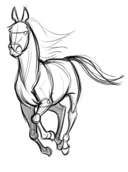 Concept Design Sketches - The Art of David Boudreau ★ Find more at http://www.pinterest.com/competing Pony Sketches To Draw, Movement Art Drawing Ideas, Horse Character Illustration, Spirit Horse Drawing Base, Galloping Horse Drawing, Horse Base Drawing, Horse Drawing Simple, Horse Concept Art, Horse Character Design