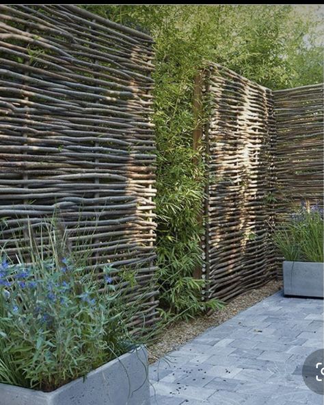 Garden Privacy Screen, Garden Privacy, Garden Screening, Bamboo Garden, Landscaping With Large Rocks, Garden Photos, Garden Fencing, Fence Design, Garden Fence