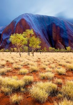 The amazing Uluru Rock, located in the heart of Australian outback. Matka Natura, Outback Australia, Great Barrier Reef, Australia Travel, Nature Scenes, Places Around The World, Belle Photo, Beautiful World, Beautiful Landscapes