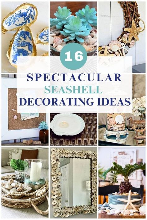 collage with 9 diy seashell ideas Decorating With Seashells, Decorate With Seashells, Seashell Centerpieces, Seashell Ideas, Diy Coastal Decor, Seashell Display, Sea Shells Diy, Beachy Theme, Diy Beach Decor