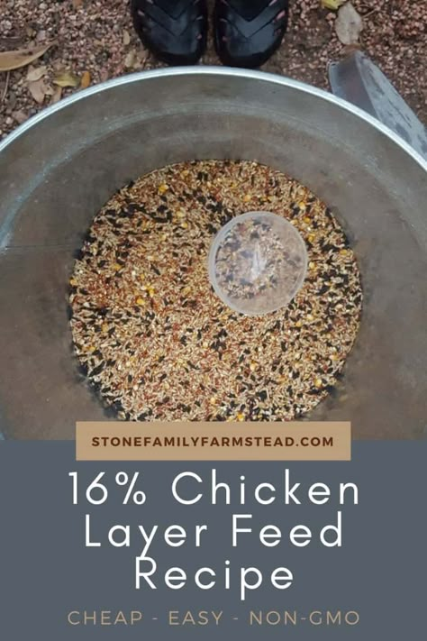 Homemade Chicken Feeders How To Make, Making Chicken Feed, What To Grow For Chickens To Eat, Grow Your Own Chicken Feed, How To Make Your Own Chicken Feed, Homemade Chicken Feed For Layers, Aesthetic Chicken Coop, Chicken Feed Recipe, Chicken Feed Diy