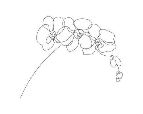 Line Art Orchid Tattoo, Orchid Minimalist Drawing, Orchid Tattoo Linework, Orchid Side Tattoo Ribs, One Line Orchid Tattoo, Abstract Orchid Tattoo, Orchid Flower Illustration, Orchid Small Tattoo, Orchid Illustration Drawing