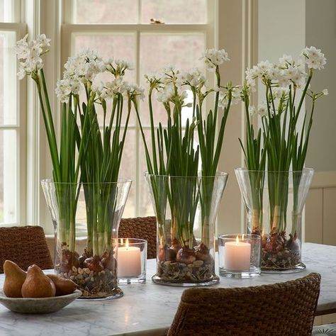 Follow The Yellow Brick Home - Winter Decorating with Paperwhites Beautiful Fresh or Faux Paperwhites Tanaman Air, Growing Bulbs, Vase Deco, White Flower Farm, Garden Bulbs, Indoor Flowers, Spring Bulbs, Fragrant Flowers, Bulb Flowers