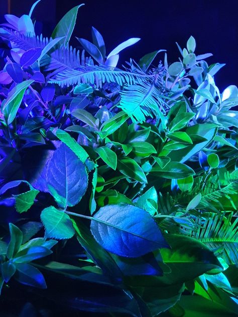 Neon And Plants, Neon Plants Aesthetic, Vaporwave Plants, Neon Jungle Aesthetic, Neon Plants, Neon Cyberpunk Aesthetic, Space Rave, Neon Forest, Liquid Neon