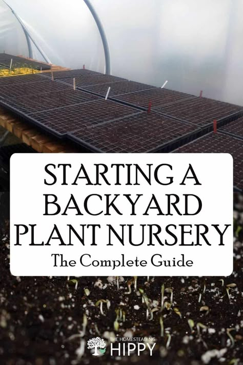 Starting a plant nursery doesn't have to be expensive if you can get a little creative. If you reinvest your profits, you can grow this into a serious business. #gardening Starting A Nursery Business, Diy Plant Nursery, Plant Business Aesthetic, Selling Plant Starts, Plant Nursery Aesthetic, Starting A Plant Nursery, Plant Sale Ideas, Flint Garden, Plant Nursery Ideas