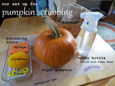 Pumpkin Practical Life, Halloween Montessori Practical Life, October Montessori Shelves, Montessori Pumpkin Activities, Fall Practical Life Montessori, Pumpkin Montessori Activities, Halloween Montessori Activities, Pumpkin Toddler Activities, Montessori Pumpkin