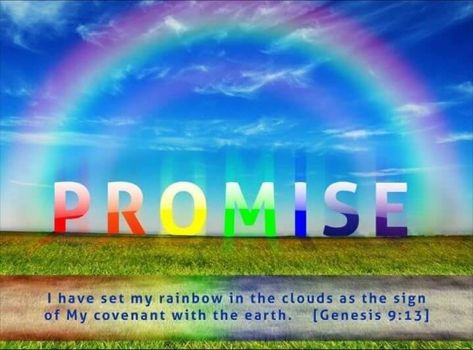 What does Genesis 9:13 mean? In the previous verse, God says there will be a sign of the new covenant promise He has made. God vowed to again never destroy the earth or wipe out all living things with a flood. Now He reveals that sign: the rainbow🌈. Genesis 9 13, Rainbow Promise, Bible Topics, Rosary Beads Catholic, God's Promise, Ayat Alkitab, Favorite Bible Verses, Rosary Beads, Gods Promises