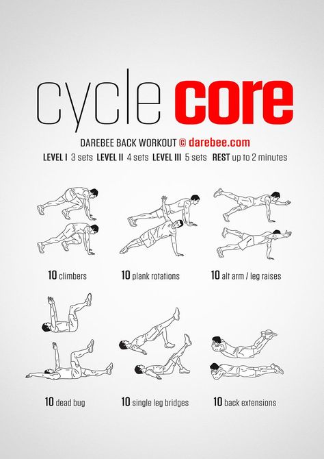 Cycle Core Workout Cycling Training Plan, Lose Your Belly Diet, Cycle Training, Bicycle Workout, Spin Bike, Flatter Stomach, Best Abs, Core Training, Cycling Workout