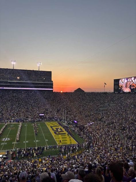 Lsu Football Aesthetic, Lsu Football, Football Stadiums, Victorious, Football