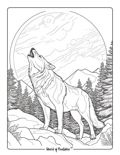 Wolf And Lion, Wolf Coloring Pages, Quilling Images, Kid Craft, World Of Color, Wolves, Leather Working, Drawing Sketches, Mammals