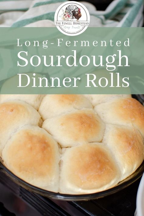 Sourdough Long Ferment, Amy Duska Sourdough, Long Fermented Sourdough Recipes, Ferment Recipes, Sourdough Dinner, Quick Dinner Rolls, Sourdough Dinner Rolls, Sourdough Crackers, Sourdough Breads