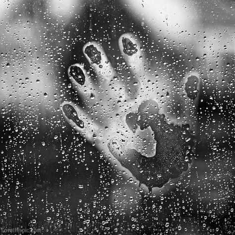 . Rain Window, I Love Rain, Love Rain, Foto Tips, Rain Photography, Dancing In The Rain, Rain Drops, Rainy Days, The Window