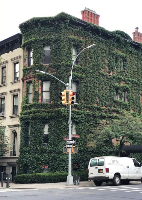 Where to Find Ivy Covered Houses in NYC Ivy Covered House, Caitlin Mcgauley, Tiger Flower, Nyc Pics, Townhouse Exterior, Lauren Kate, Ivy Wall, Nyc Guide, Exterior Facade