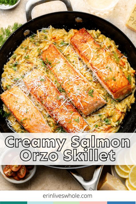 Switch up your standard salmon routine and try out this delicious Creamy Salmon Orzo Skillet! Between the veggies, parmesan cheese, and lemon, it's overflowing with savory flavors. Lemon Salmon Orzo Skillet, Creamy Salmon And Rice, Orzo Fish Recipes, Salmon Orzo Asparagus, Salmon With Boursin Cheese, Salmon Orzo Spinach, Salmon Orzo Recipes, Orzo Recipes With Salmon, Baked Salmon With Orzo