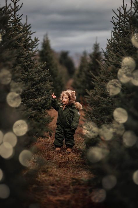 Sphaera Presets By Meg Loeks - Creative Bokeh Light Effects Christmas Picture Props Outdoor, Toddler Christmas Photos, Christmas Tree Farm Pictures, Tree Farm Pictures, Christmas Tree Farm Mini Session, Tree Farm Photo Shoot, Christmas Tree Farm Photo Shoot, Tree Farm Mini Session, Christmas Tree Farm Photos