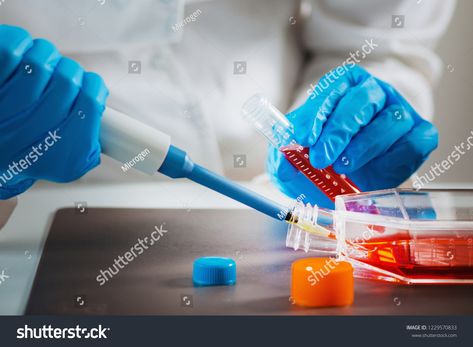 Biotechnology engineer inspecting cell culture flask #Ad , #SPONSORED, #inspecting#engineer#Biotechnology#flask Cell Culture, Biotechnology, Line Icon, Icon Illustration, Flask, Royalty Free Stock Photos, Lab, Stock Images, Engineering