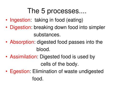 PPT - Digestive System & Diet PowerPoint Presentation - ID:5408593 Process Of Digestion, Process Of Photosynthesis, Sigmoid Colon, Bile Salts, Gastric Juice, Salivary Gland, Digestive Juice, Bile Duct, Cell Line