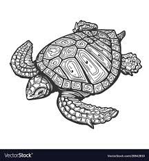 Sea Turtle Skeleton, Turtle Skeleton, Spanish Mosaic, Sea Turtle Drawing, Sea Turtle Tattoo, Skeleton Tattoo, Ancient Drawings, Tattoo Vector, Turtle Drawing