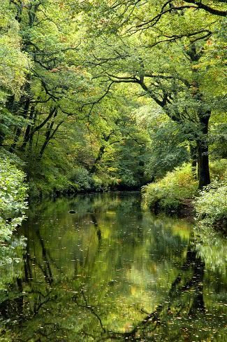 size: 12x8in Photographic Print: Summer trees reflected in River Teign, Dartmoor NP, Devon, UK by Ross Hoddinott : Scenery Inspiration, Výtvarné Reference, Summer Trees, Devon Uk, Pretty Landscapes, Inspiration Photos, Random Ideas, Green Forest, Alam Yang Indah