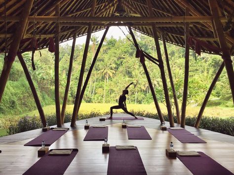 Yoga retreat in Bali Yoga Retreat Center, Yoga Platform, Bali Yoga Retreat, Yoga Place, Bali Retreat, Best Yoga Retreats, Yoga Shala, Bali Yoga, Bali Vacation