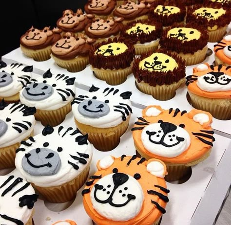 White Tiger Cupcakes, Wild 1 Cupcakes, Two Wild Birthday Party Cupcakes, Wild One First Birthday Cupcakes, Wild Cupcake Ideas, Tiger Cupcake Cake, Zebra Cupcakes Ideas, Two Wild Birthday Cake And Cupcakes, Jungle Cupcake Ideas