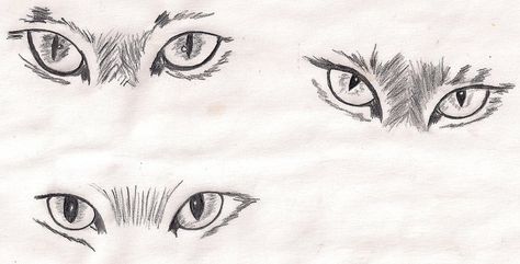 Drawing of cat eyes | Flickr - Photo Sharing! Cat Eyes Sketches, Cats Eyes Tattoo, Cat Eyes Tattoo Realistic, Cats Eye Tattoo, Cats Eyes Drawing, Cat Eye Drawing Sketches, How To Draw Cat Eyes, Cat Eyes Illustration, Cat Eye Sketch