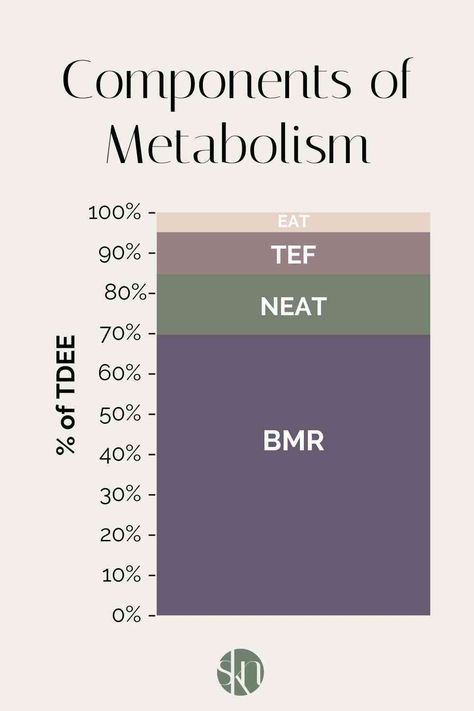 From fast metabolism to slow metabolism to a broken metabolism, there are a lot of buzzwords in the fitness and nutrition industry when it comes to metabolism but what exactly do they mean, if anything at all? Here is everything that you need to know about your metabolism and how it works. Kay Nutrition, Speed Up Your Metabolism, Basal Metabolic Rate, Exercise Activities, Slow Metabolism, Daily Energy, Increase Metabolism, Lean Muscle Mass, Fast Metabolism