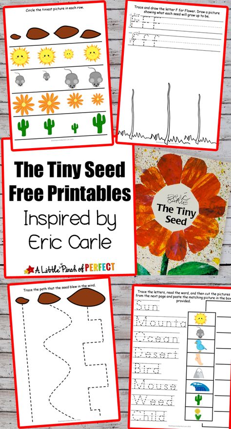 Flower Potato Stamping Craft and The Tiny Seed Free Printables: Make an easy… Tiny Seed Activities, Potato Stamping, Flower Crafts Preschool, Eric Carle Activities, Plants Kindergarten, Free Printables For Kids, Preschool Garden, Planting For Kids, Plant Activities